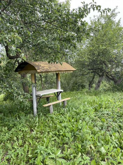 Дом 33 м² на участке 35 сот.