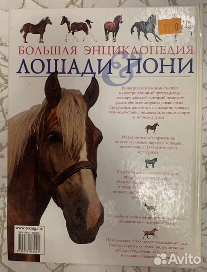 Книга о лошадях и пони