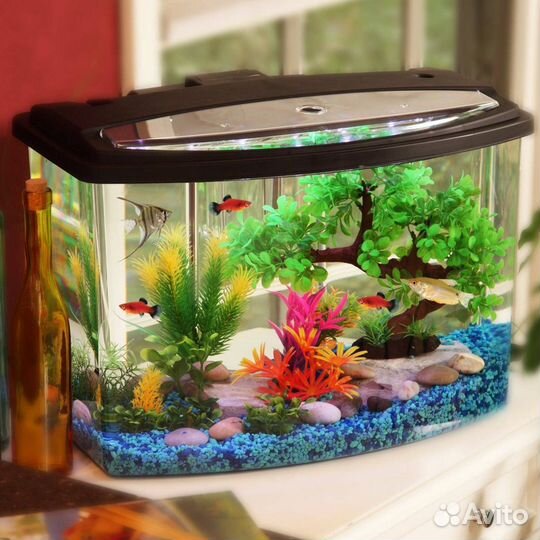 Аквариум