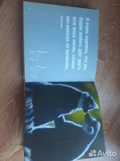 Книги бесплатно