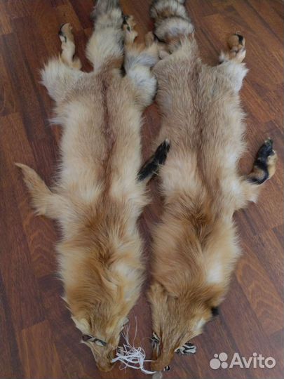 Шкуры лисы