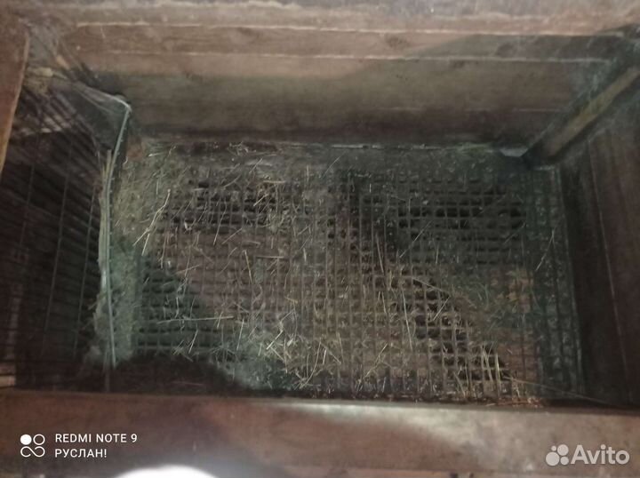 Клетка для кроликов 3 шт