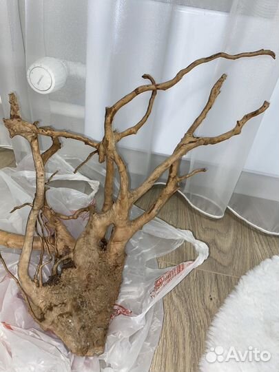 Коряги для аквариума