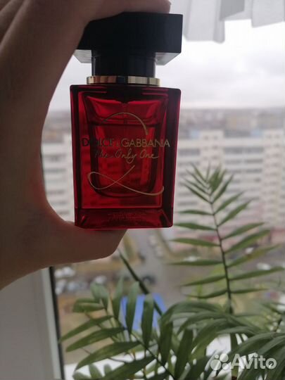 Dolche gabbana духи