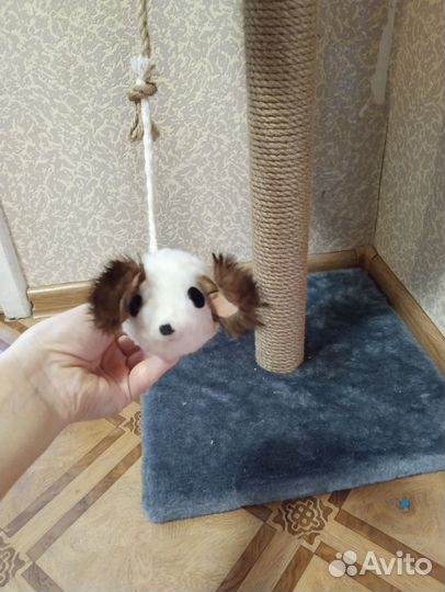 Когтеточка