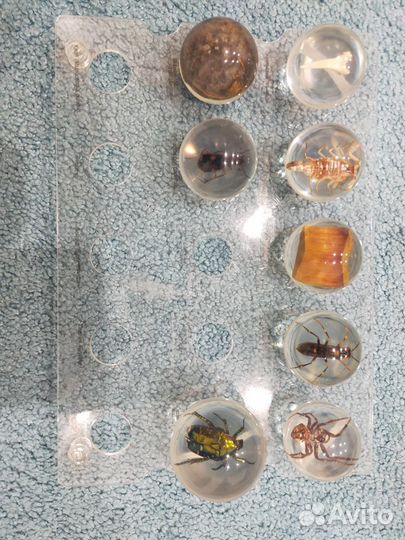 Коллекция насекомых с журналами де'агостини