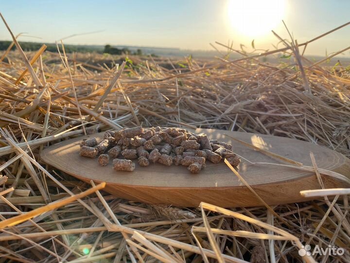 Пивная дробина сухая в гранулах