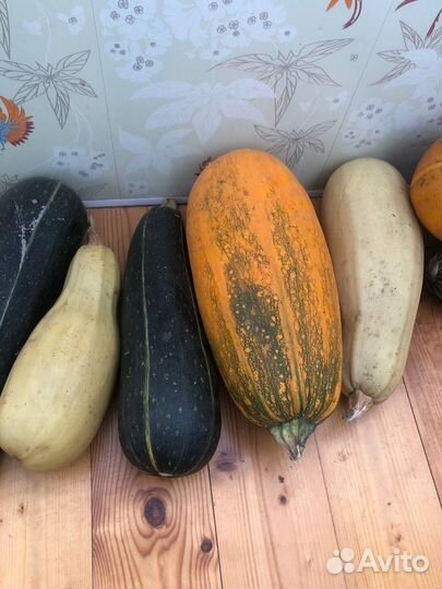 Кабачки свежые разных сортов