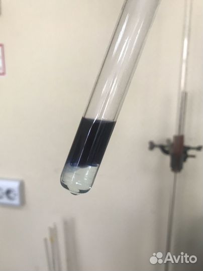 Репетитор по биологии к огэ