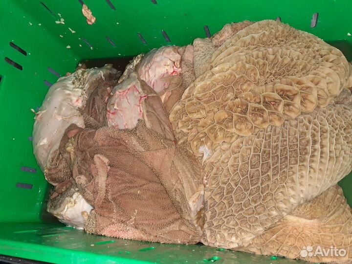 Рубец и печень