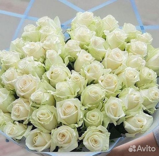 Высокие розы Доставка цветов