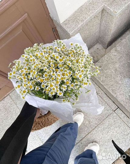 Доставка цветов. Ромашки