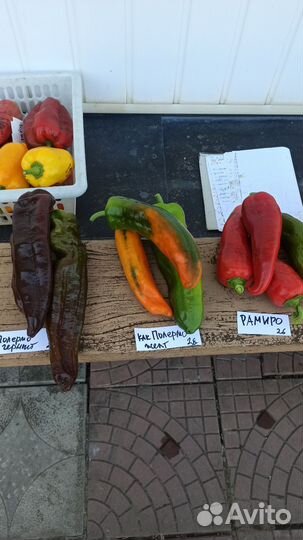 Перец палермо семена