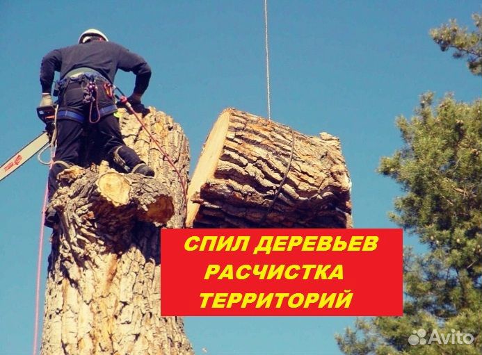 Расчистка территории / Измельчитель дерева