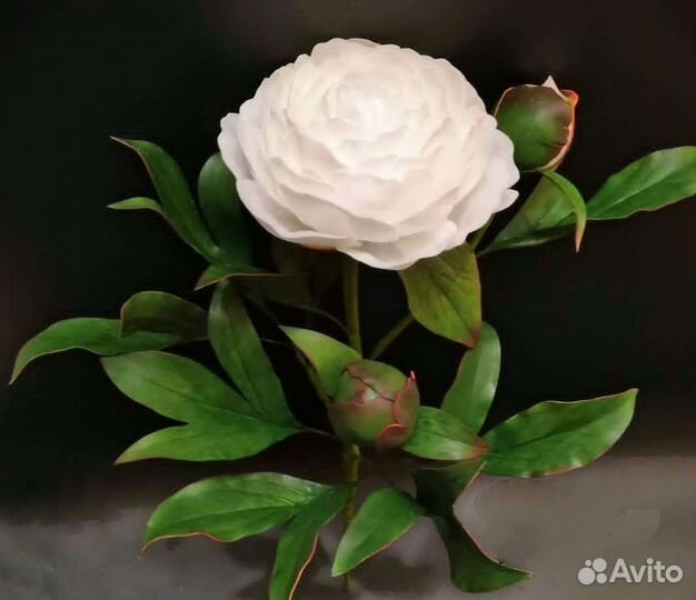 Пионы букет