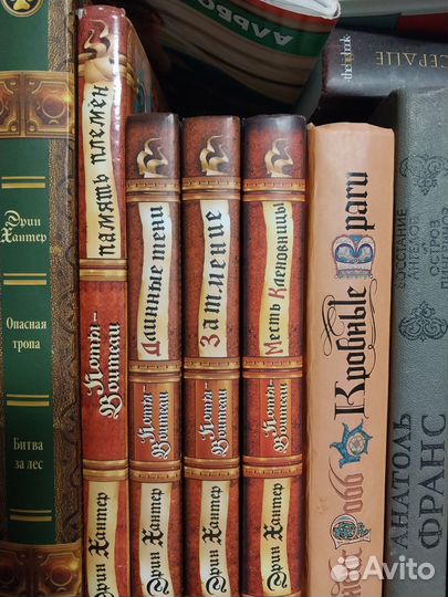 Книги коты воители