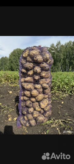 Картофель с доставкой на дом