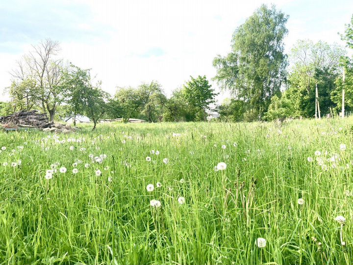 Участок 6 сот. (ИЖС)