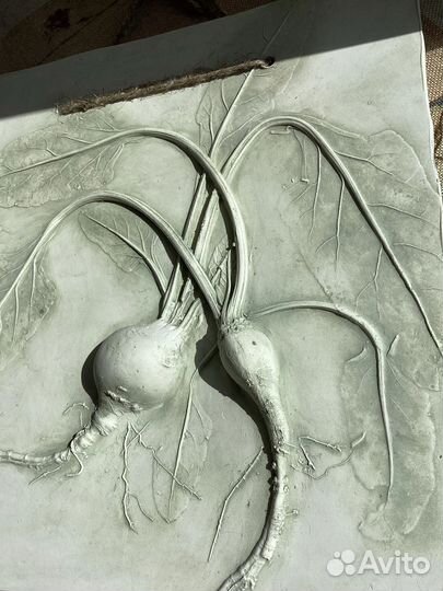 Ботанический барельеф