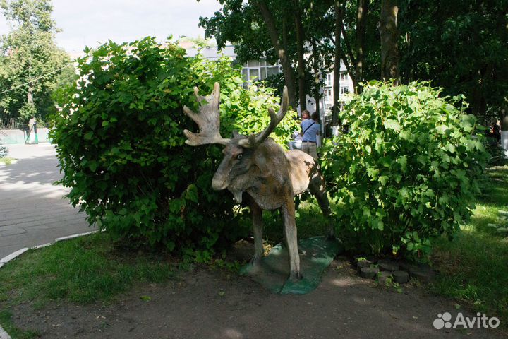 Пенза:Зоопарк океанариум ш.фабрика 17 сентября