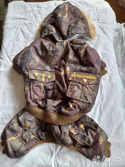 Курточки для маленькой собаки,шпиц