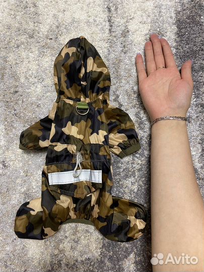 Костюм для собаки