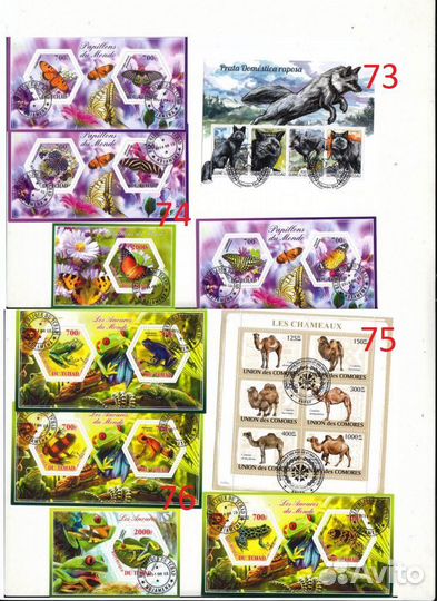 Почтовые марки блоки фауна п