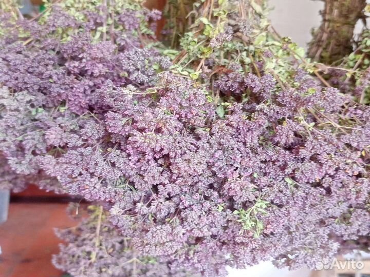 Душица(матрушкэ)