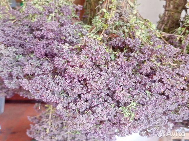 Душица(матрушкэ)