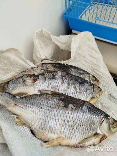 Вяленая рыба