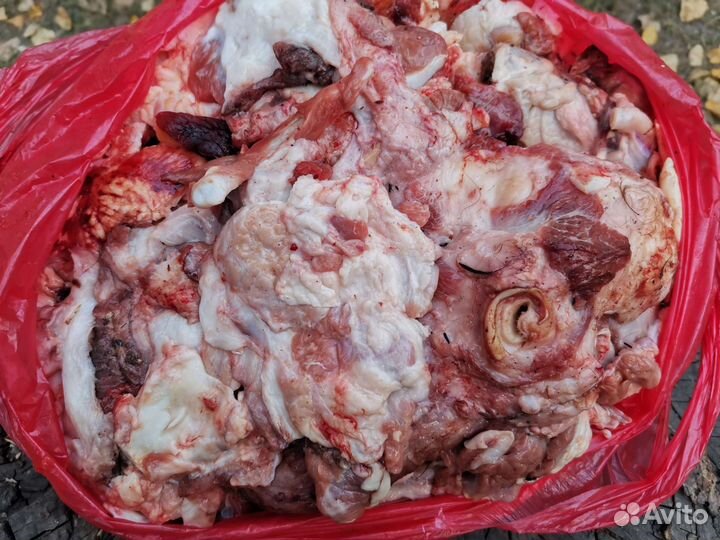 Мясо для собак с говяжьих голов Языки