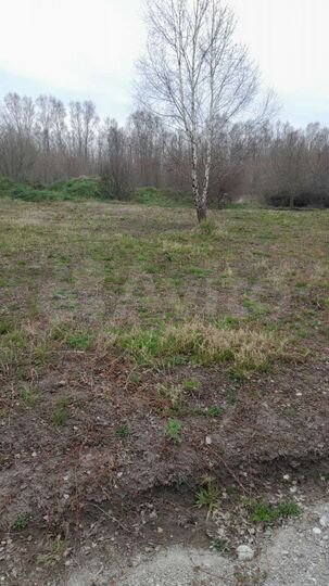 Участок 7,5 сот. (ИЖС)