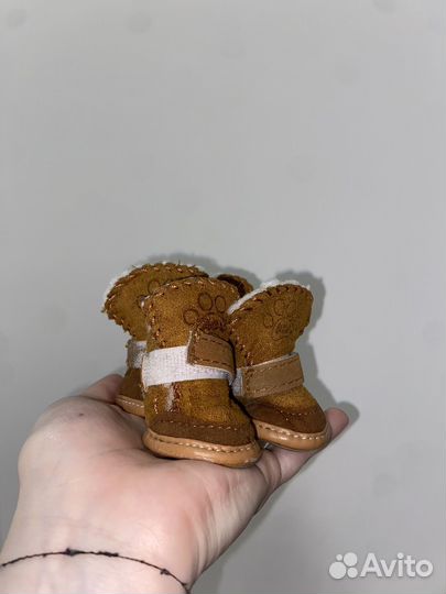 Ботинки зимние для собак мелких