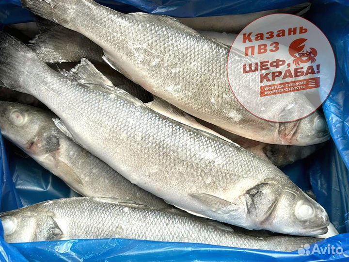 Сибас свежемороженый