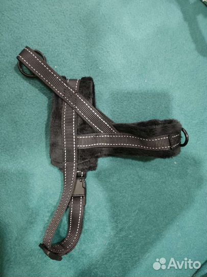 Шлейка для собаки