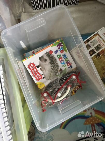 Развивающие наборы и книжки