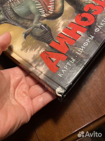 Динозавры энциклопедии