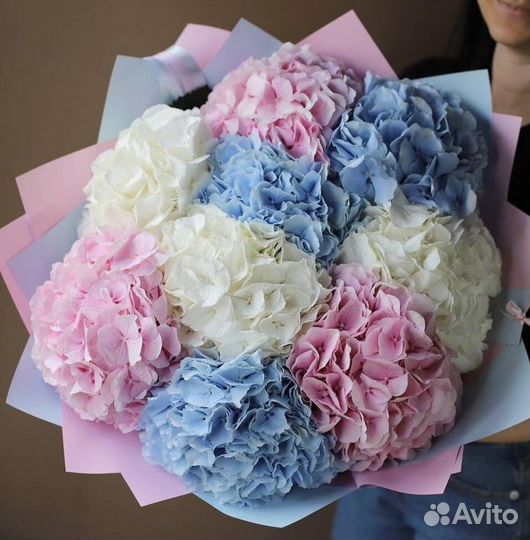 Букет из разноцветных гортензий