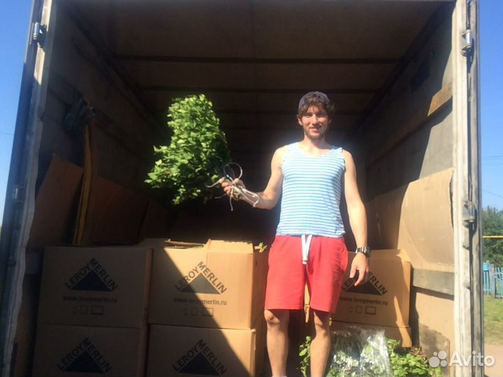 Веники: дуб, береза, липа, пихта