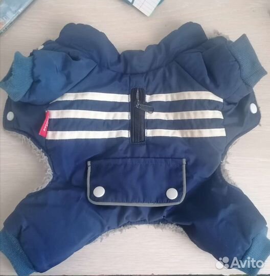 Одежда для маленьких собак бу