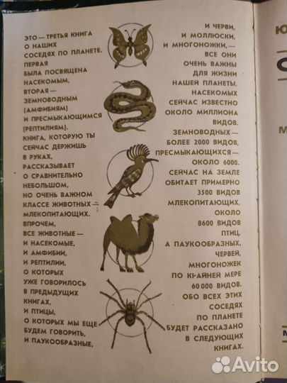Ю. Дмитриев Соседи по планете млекопитающие