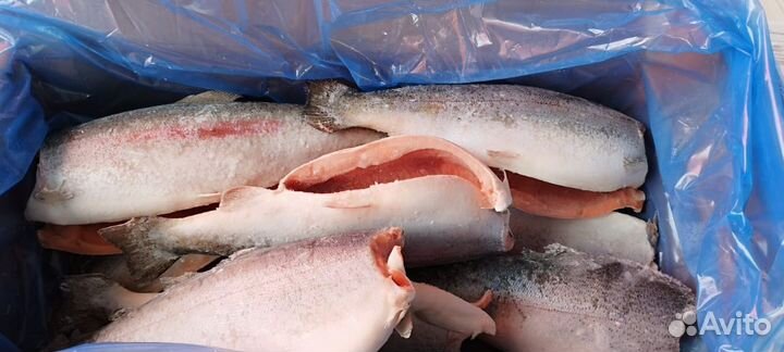 С/м рыба, креветки