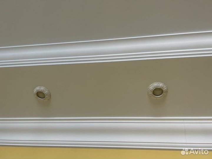 Точники белые- 20 шт