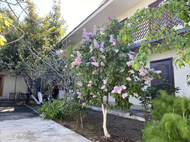 Комната 15 м² в > 9-к., 1/2 эт.