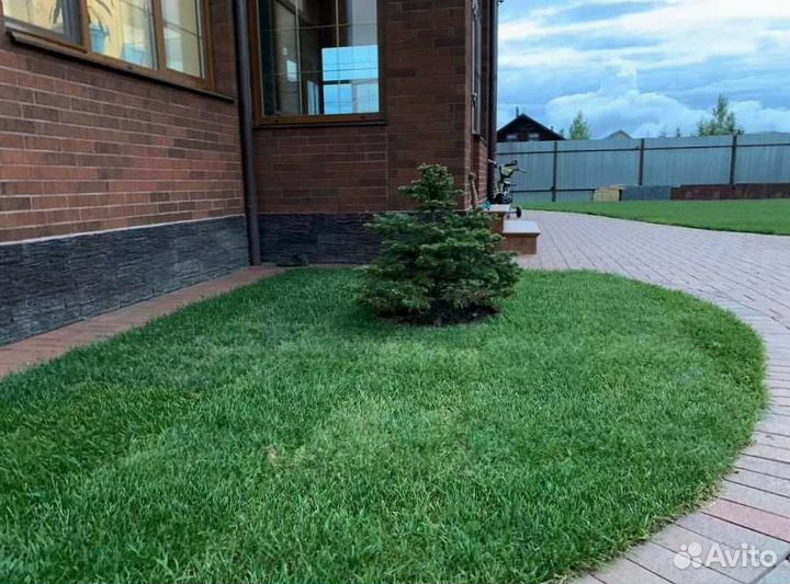 Газон. Рулонный газон