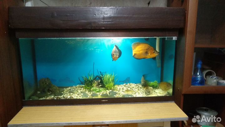 Аквариум на 180 литров с подсветкой