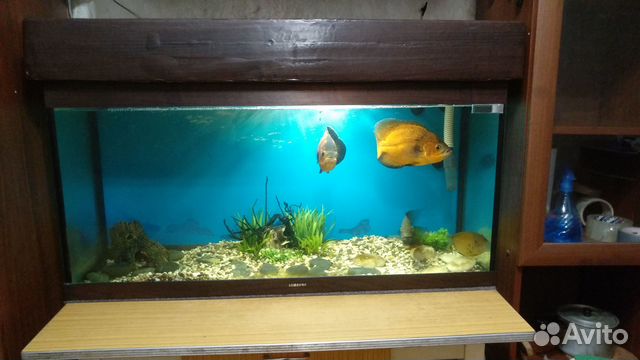 Аквариум на 180 литров с подсветкой