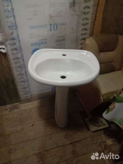 Раковина тюльпан