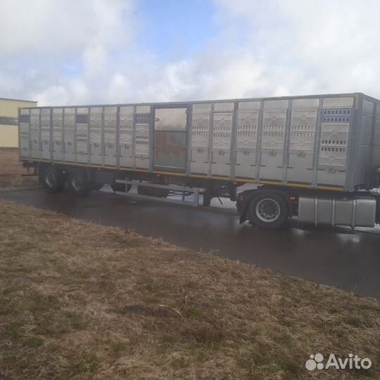 Полуприцеп для перевозки скота Тонар 98262, 2019