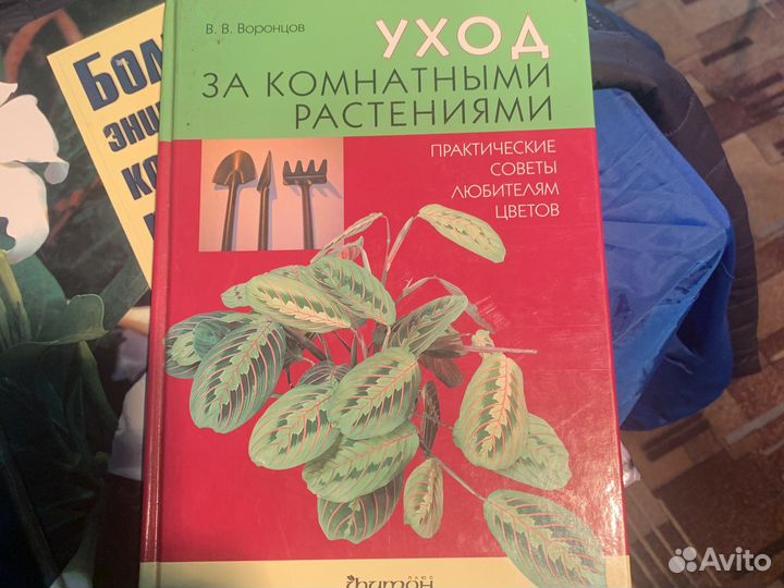 Большая энциклопедия комнатных растений